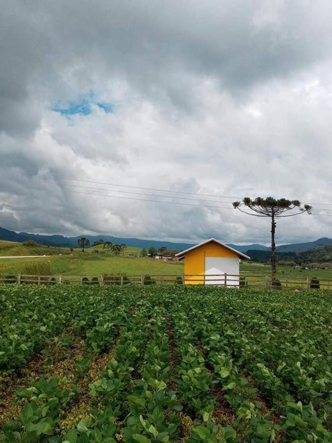 Cabana Caminho Das Borboletas Bom Retiro  Luaran gambar